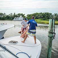 Hatteras Marlin Club Blue Marlin Release Tournament
